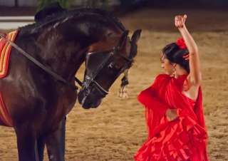 flamnco dansen met paarden
