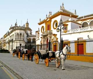 koetsje rijden door de stad Sevilla